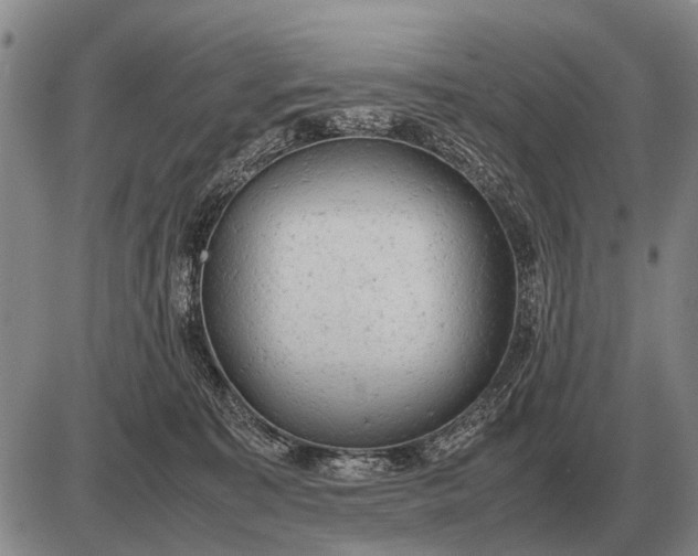 X0000085270323200703231747