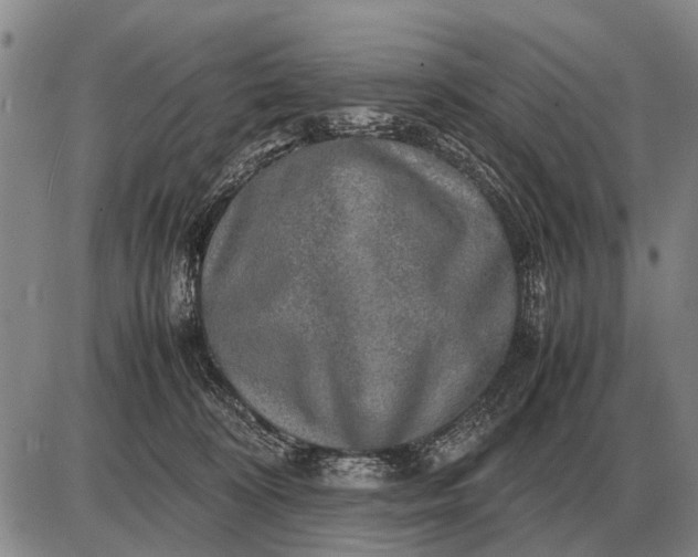 X0000085270324200703231747