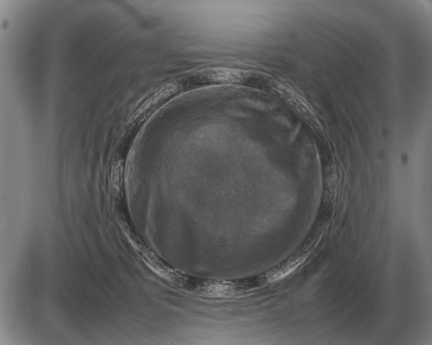 X0000085270325200703231747