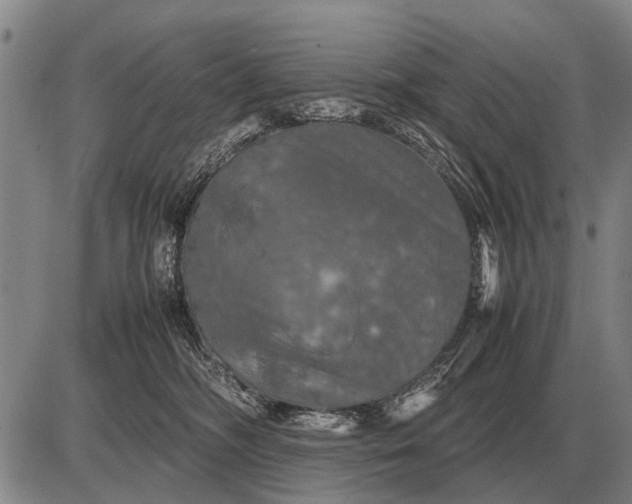 X0000085270326200703231747