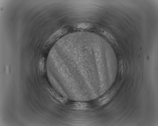 X0000085270328200703231747