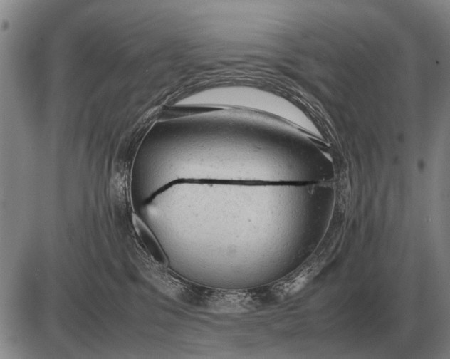 X0000085270329200703231747