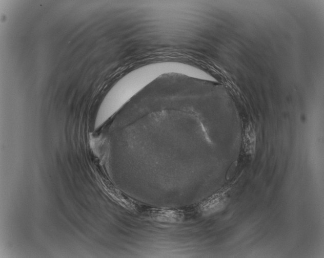 X0000085270330200703231747