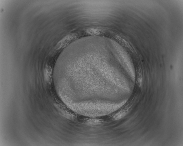 X0000085270332200703231747