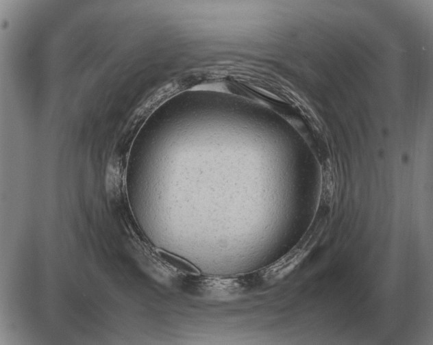 X0000085270333200703231747