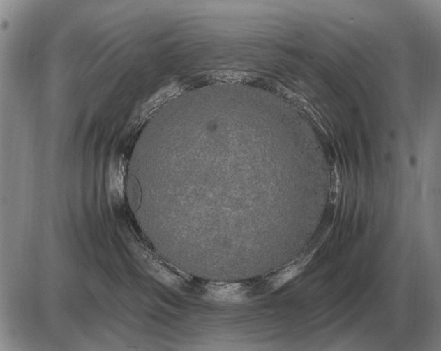 X0000085270334200703231747