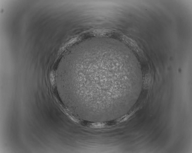 X0000085270335200703231747