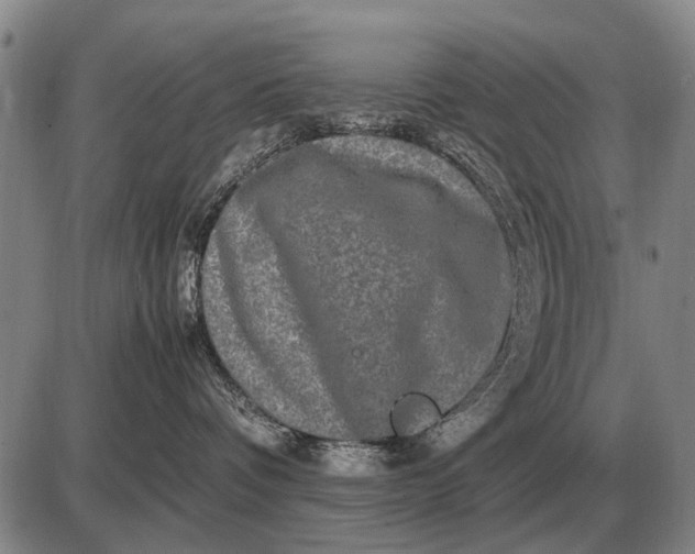 X0000085270336200703231747