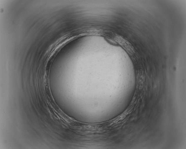 X0000085270338200703231746