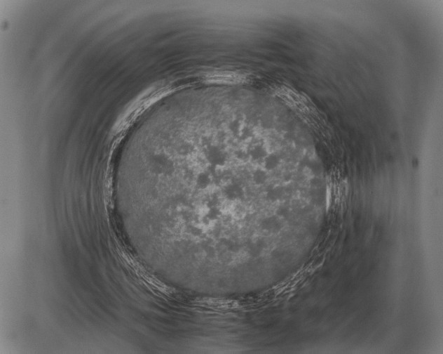 X0000085270339200703231746