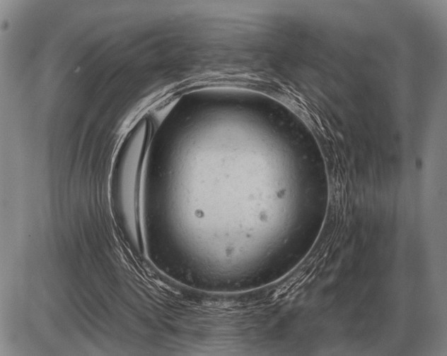 X0000085270340200703231746