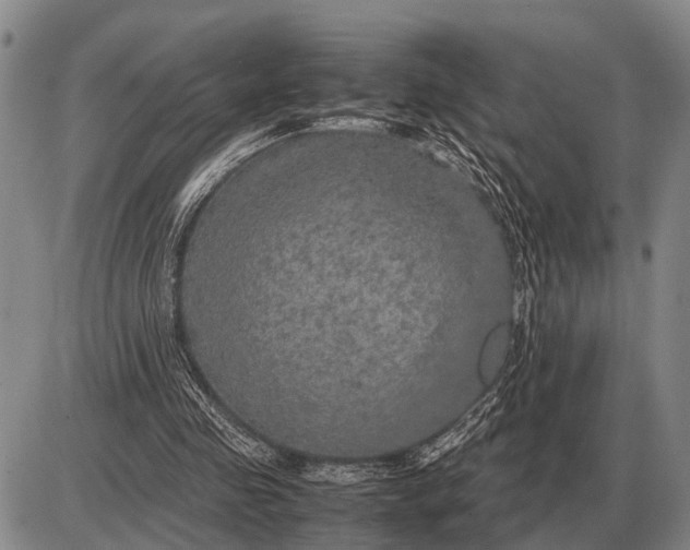 X0000085270341200703231746