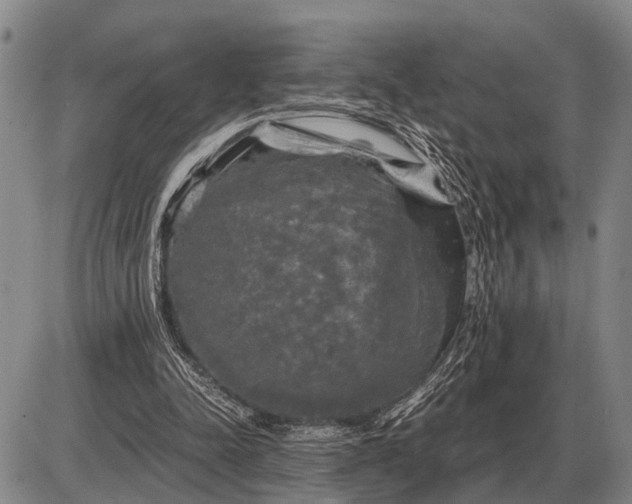 X0000085270342200703231746