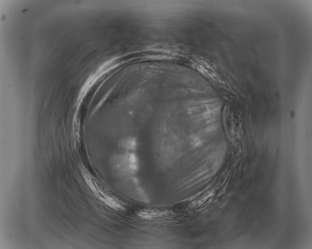 X0000085270343200703231746