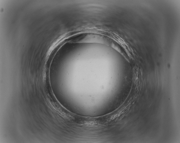 X0000085270344200703231746