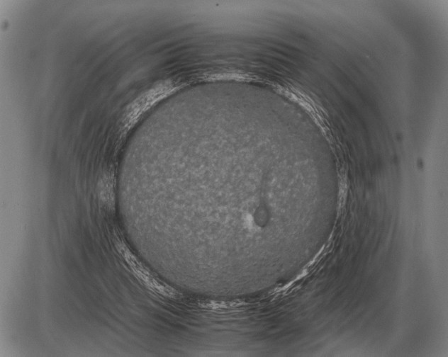 X0000085270345200703231746