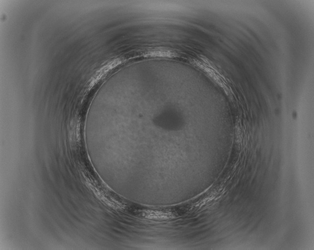 X0000085270347200703231746