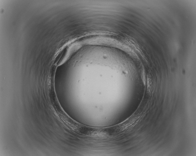 X0000085270348200703231746