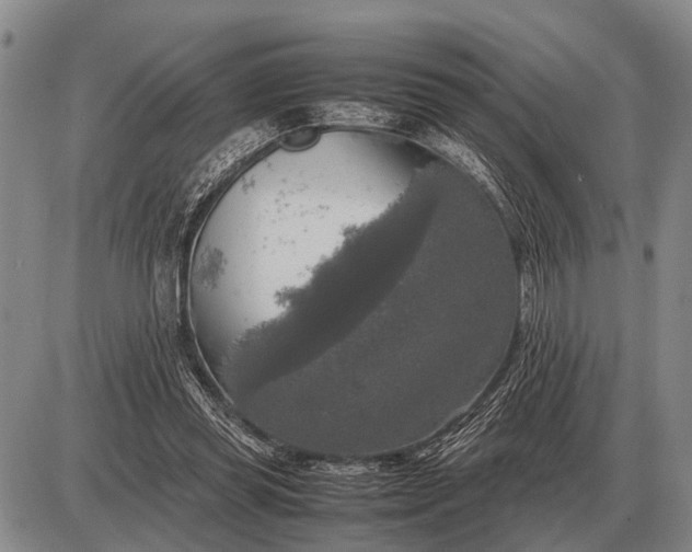 X0000085270349200703231746