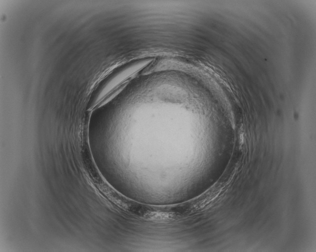 X0000085270352200703231747