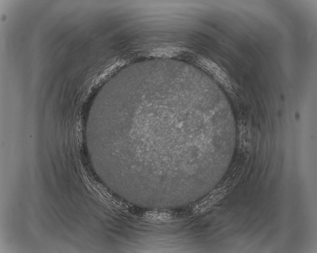 X0000085270354200703231747