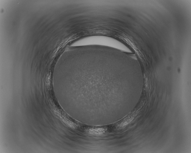 X0000085270357200703231747