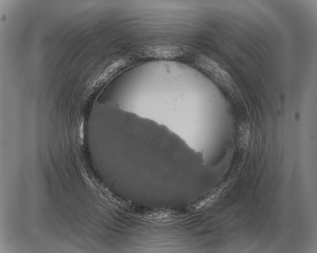 X0000085270358200703231747