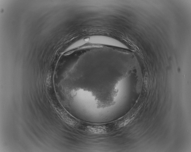 X0000085270359200703231747