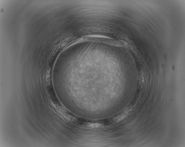 X0000085270360200703231747