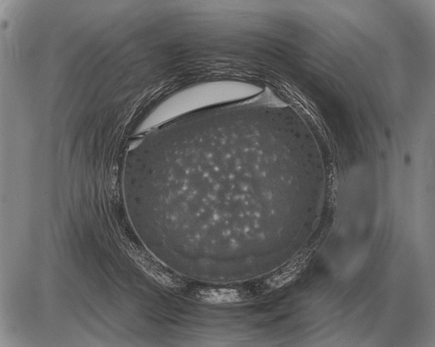 X0000085270361200703231747