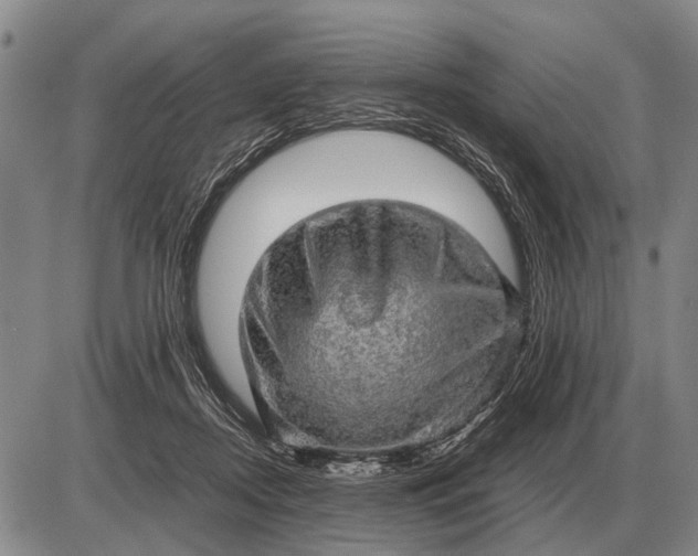 X0000085270362200703231747