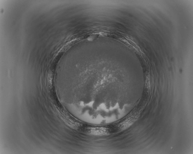 X0000085270363200703231747