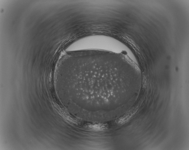 X0000085270365200703231747