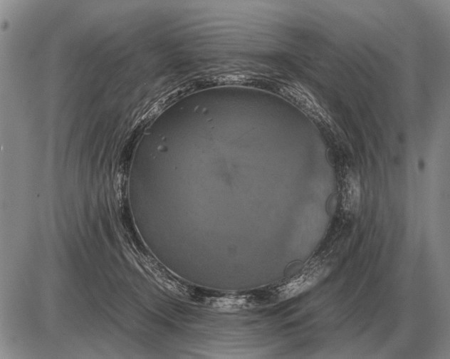 X0000085270366200703231747