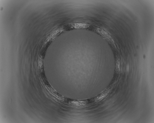 X0000085270367200703231747