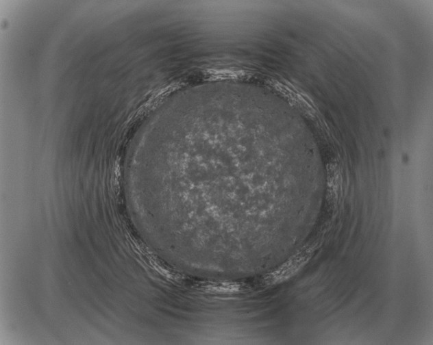 X0000085270369200703231747