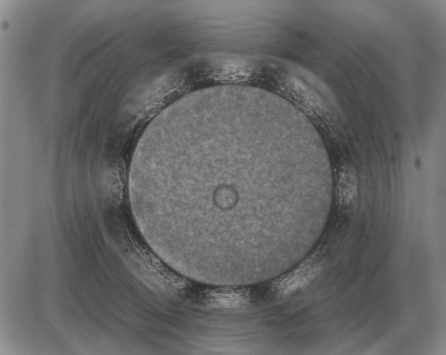 X0000085270370200703231747