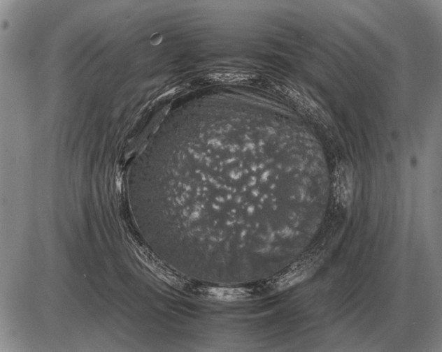 X0000085270371200703231747