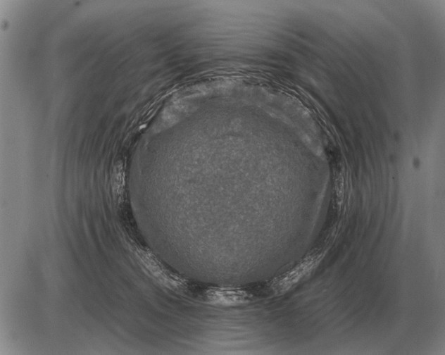 X0000085270372200703231747