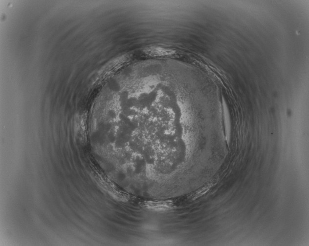 X0000085270373200703231747