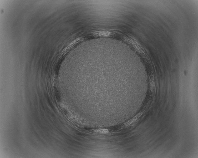 X0000085270374200703231747