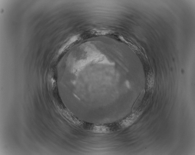 X0000085270376200703231747