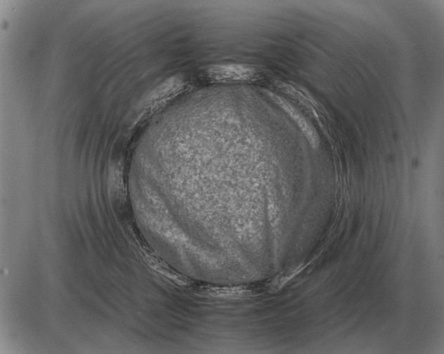 X0000085270377200703231747