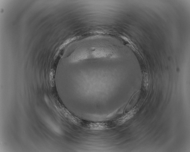 X0000085270378200703231747