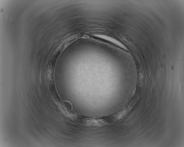 X0000085270379200703231747