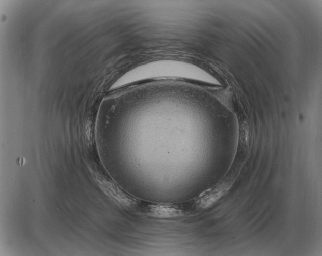 X0000085270380200703231747