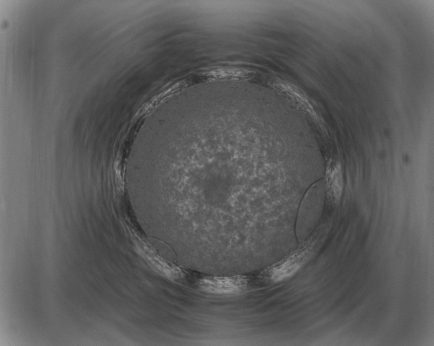 X0000085270381200703231747