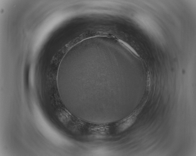 X0000085270383200703231747