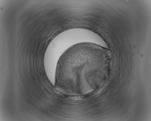 X0000085270384200703231747