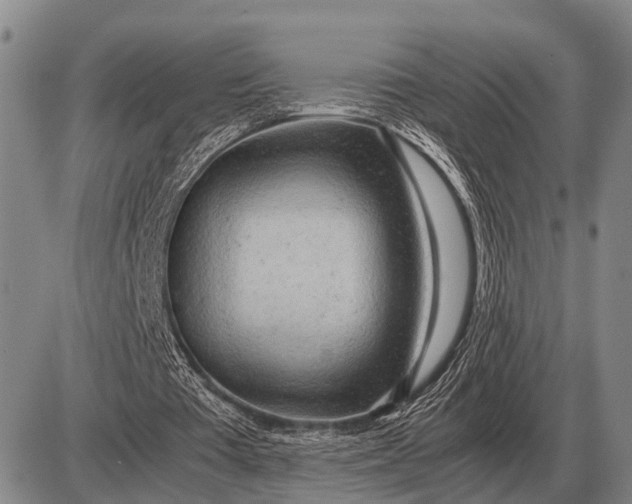 X0000085270385200703231746